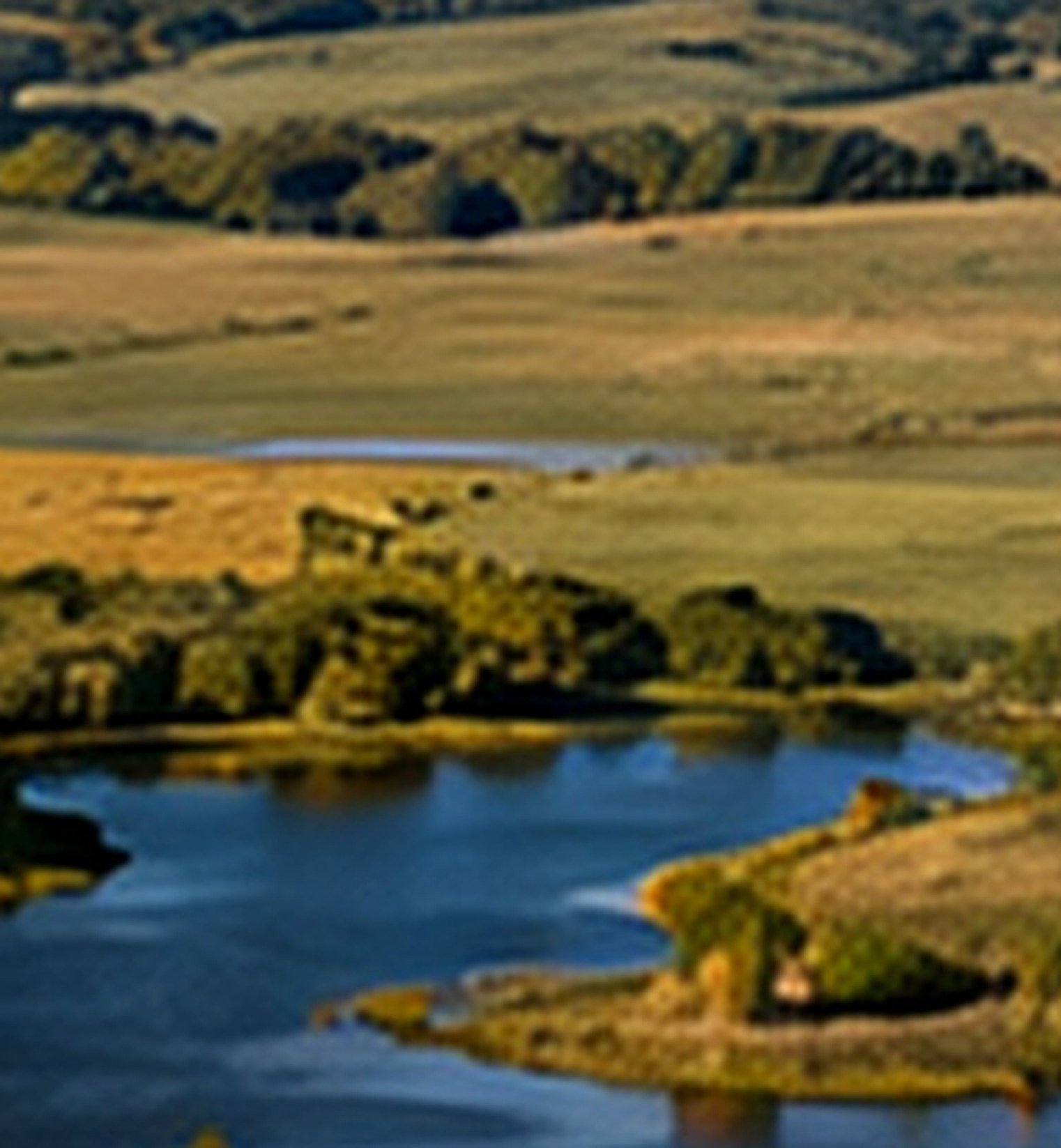 Paisagem campestre usada como ilustração da proposta de origem